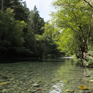 Patrick's Creek Swim + Picnic Area