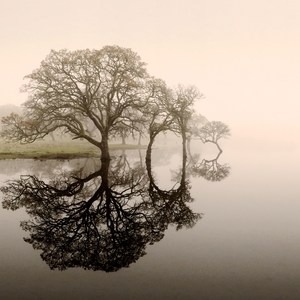 Rockville Hills Regional Park