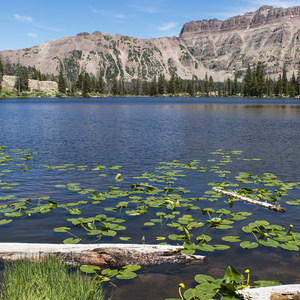Ruth Lake