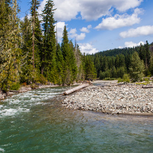 Salmon la Sac Campground