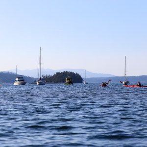 Brentwood Bay to Senanus Island