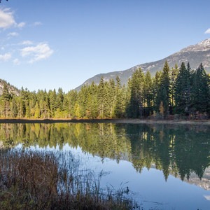 Shadow Lake Interpretive Forest