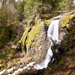 Shellburg Falls Loop Hike