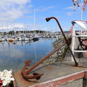 Sidney Heart Smart Walk