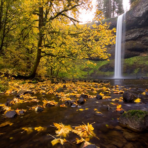 Silver Falls, Trail of 10 Falls