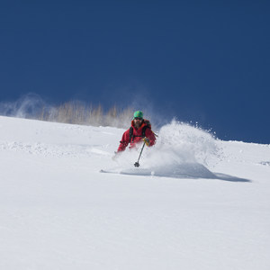 Silver Fork in Big Cottonwood Canyon