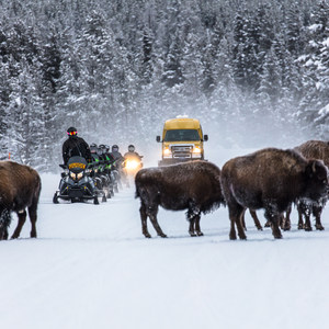 3-Day Winter Adventure Itinerary for West Yellowstone