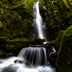 Soda Creek Falls Trail