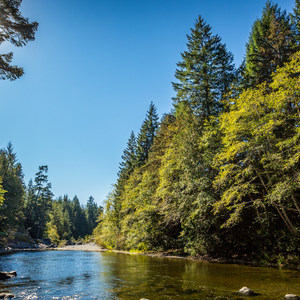 Spring Salmon Place Campground