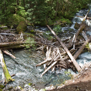 South Breitenbush Gorge National Recreation Trail