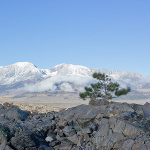 Panum Crater Plug Trail
