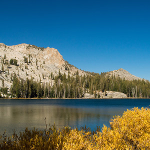 May Lake Trail Hike