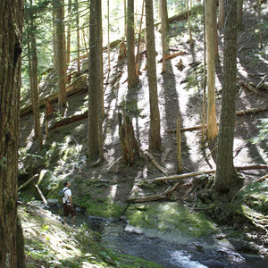 Trapper Creek