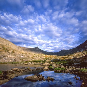 Meet Conservation Colorado