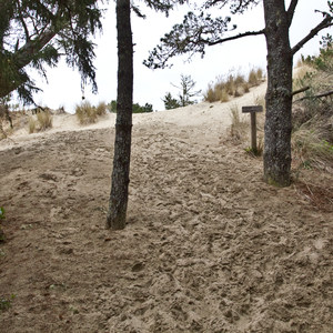 Sutton Campground Loop