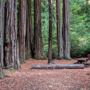 Blooms Creek Campground
