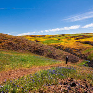 North Table Mountain Ecological Reserve