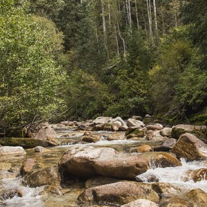 Tanners Flat Campground