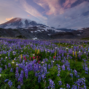 Mount Rainier National Park