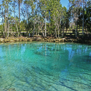 Three Sisters Springs