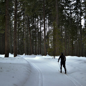 Lake Wenatchee State Park South Loop