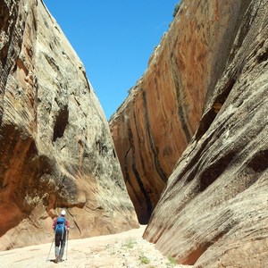 Lower Muley Twist Loop