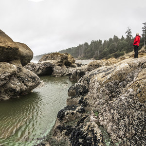 Kalaloch Beach 4