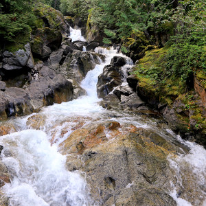 Deception Falls Interpretive Trail