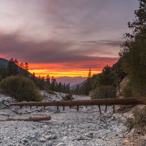 San Gorgonio Mountain via Vivian Creek