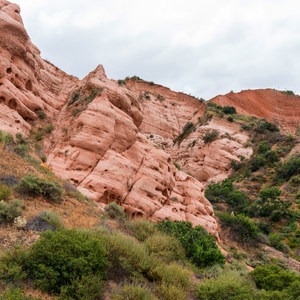 Borrego Canyon + Red Rock Canyon Trails