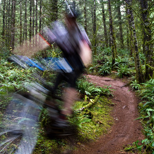 Carpenter Bypass Trail System, Whypass Trail