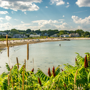 Willard Beach