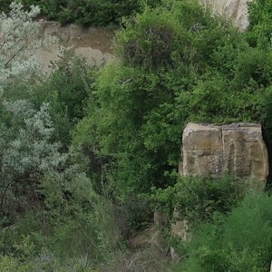 Monica Goes: Billings, Montana