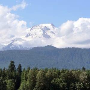 Back on My Feet: Five Lessons Learned From a Debilitating Knee Injury