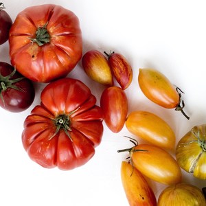 Tomato Paste, an Unlikely Trail Hero, in Three Transformative Recipes