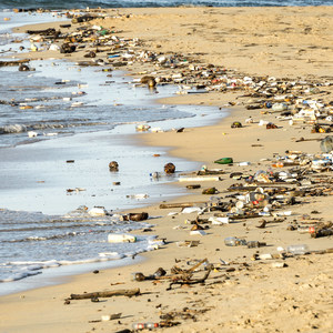 5 Steps to Reduce Your Plastic Footprint