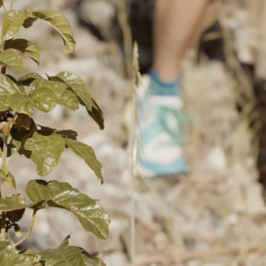 Tips for Keeping Trail Pests at Bay