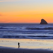 Cape Meares Big Spruce + Beach Trail