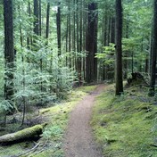 Eagles Rest Trail Mountain Bike Ride