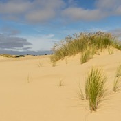 Oregon Dunes Loop Hike