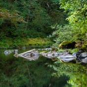 Fall Creek Trail Hike