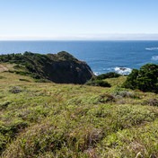 Port Orford Heads State Park Trails