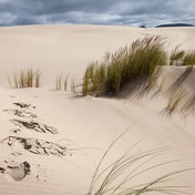 John Dellenback Trail