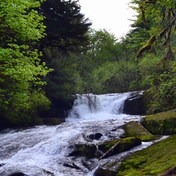 Alsea Falls Recreation Area