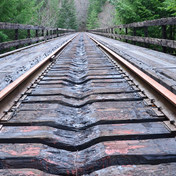 Upper Salmonberry River Trail
