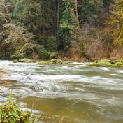 Horse Creek North/Drift Creek North Hike