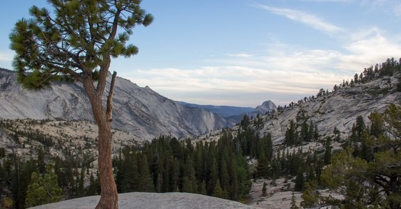Porcupine Flat Campground