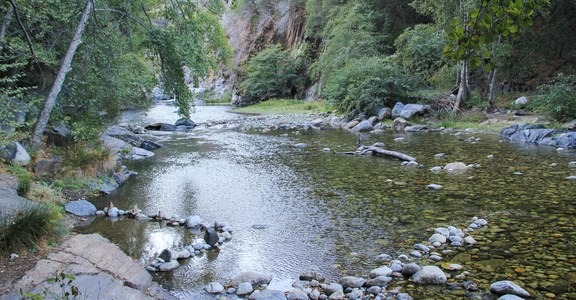 Buckeye Flat Campground