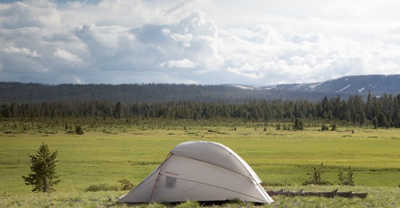 Firehole Meadows: Biscuit Basin to Freight Road