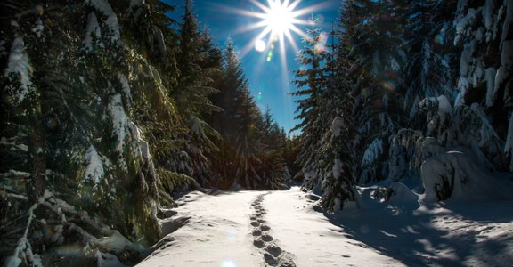 Ikenick Sno-Park Snowshoe